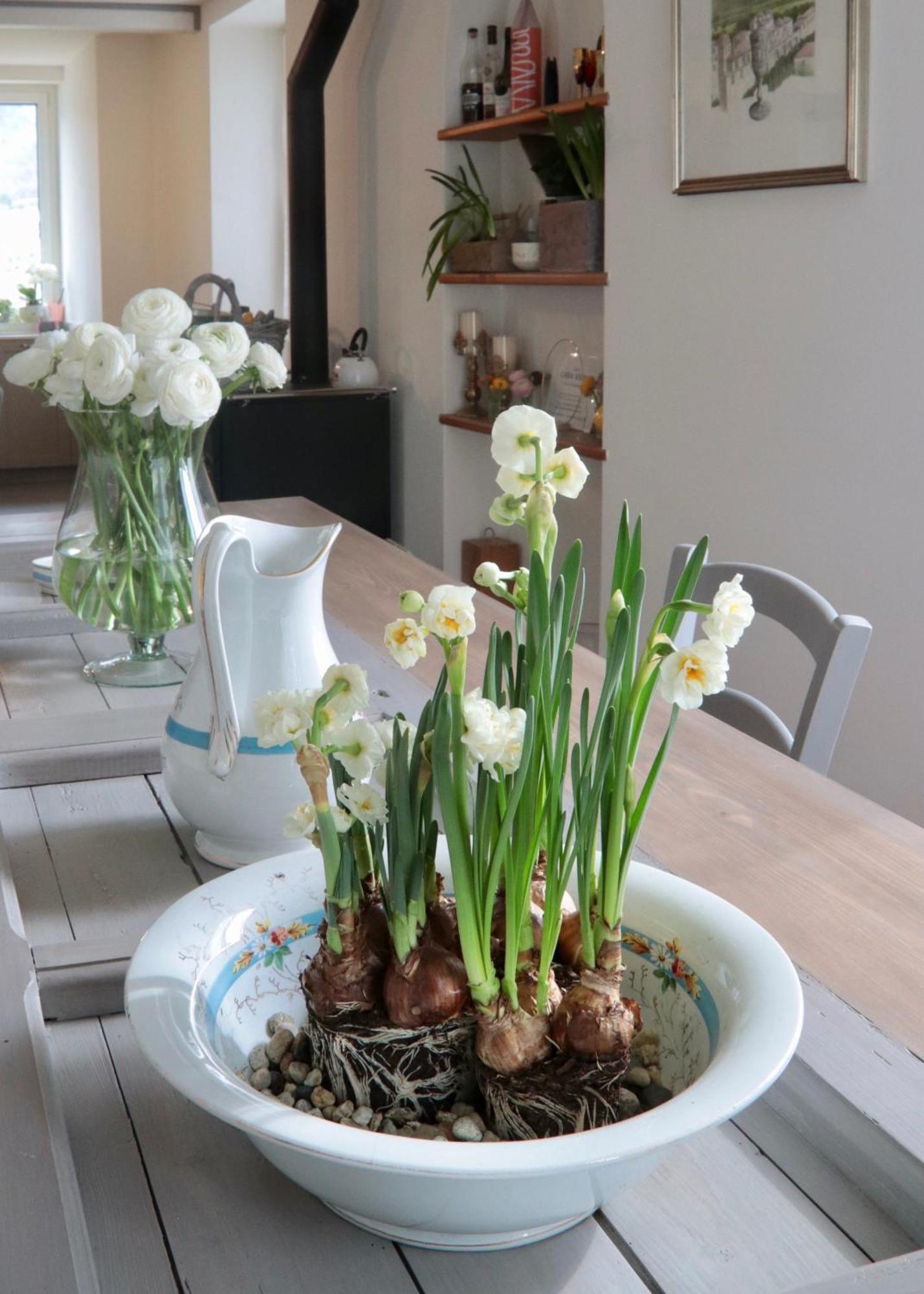 Casa Viola Bed And Breakfast Dimora Di Campagna Calice Ligure Екстер'єр фото